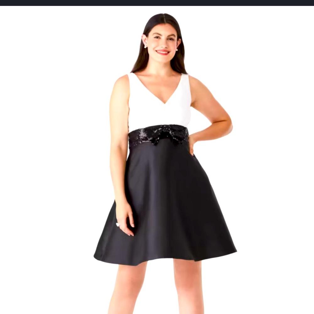 Kate spade fit and flare dress